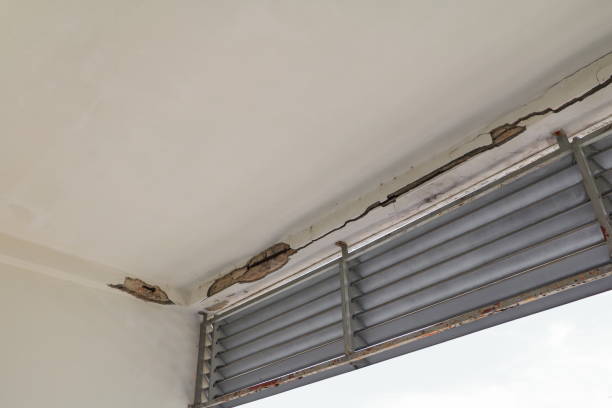 The benefits of hiring a professional restoration company for your property in Florida