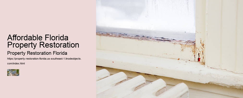 Affordable Florida Property Restoration