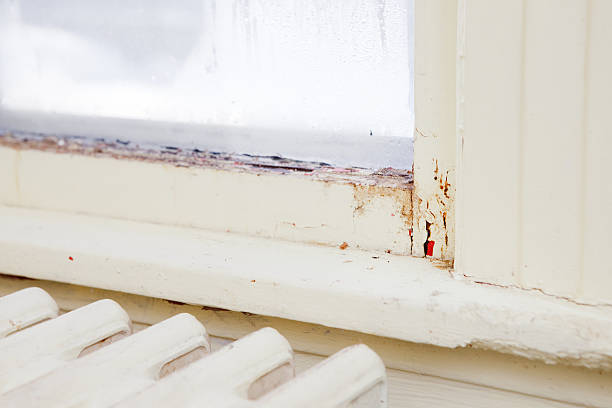 What is included in a typical property restoration package in Florida?